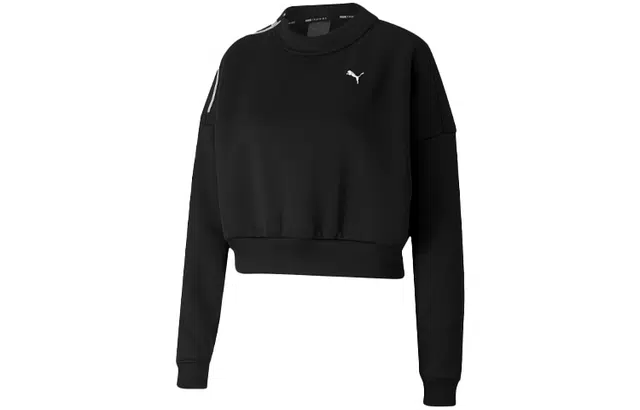 Puma Train Logo