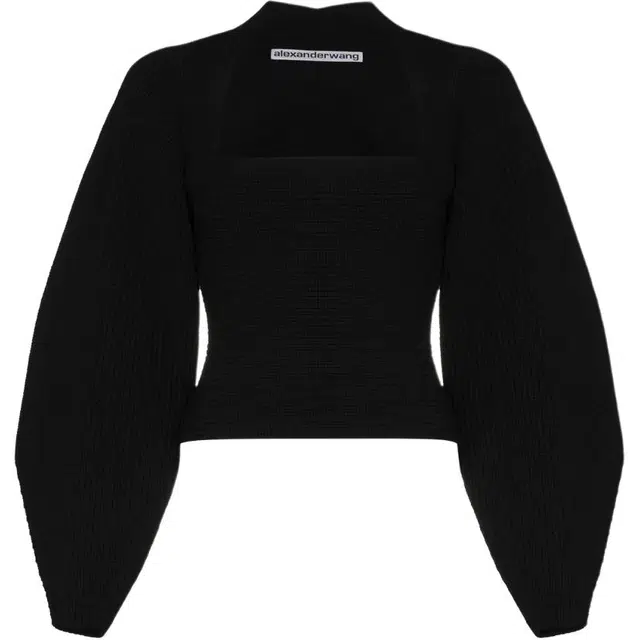 alexander wang