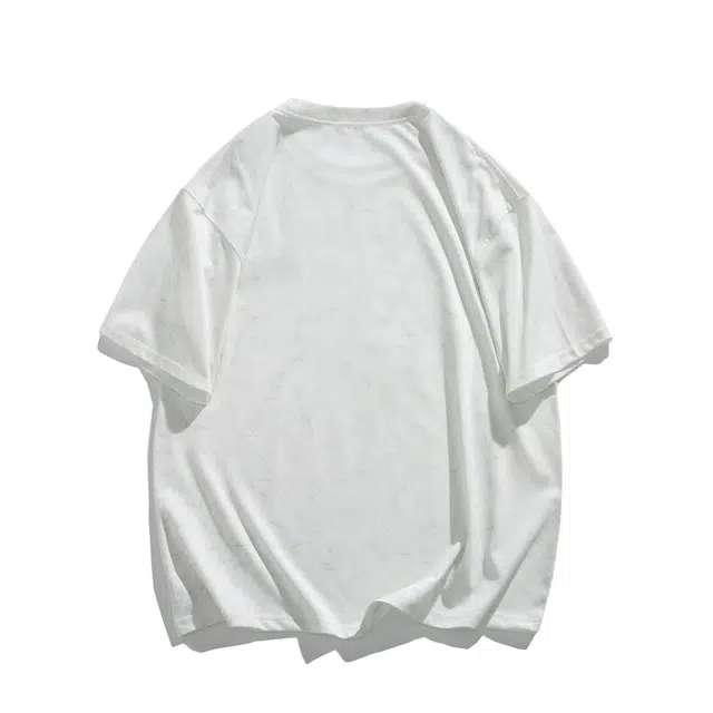 CDISHOU T