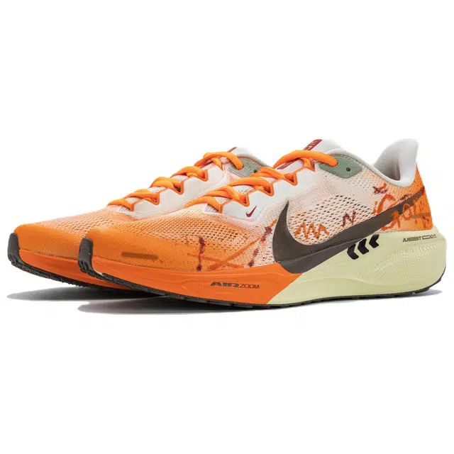 Nike Zoom Pegasus 41