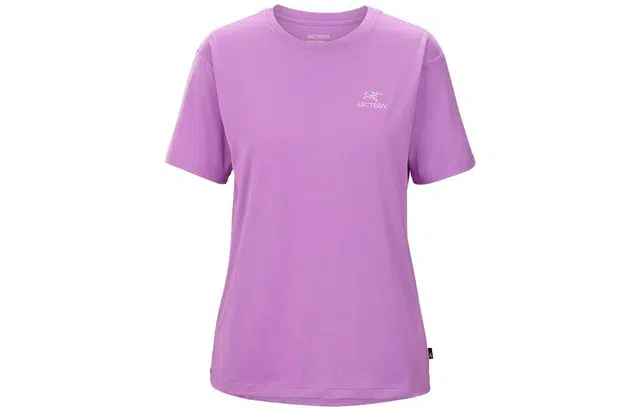 Arcteryx ARC ' LOGO EMBLEM Emblem T