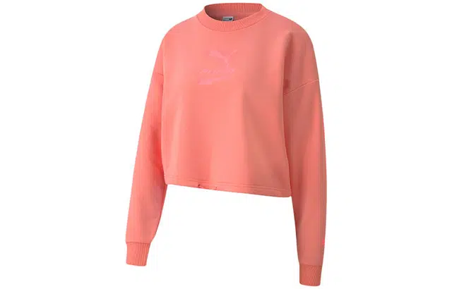 Puma Evide Logo