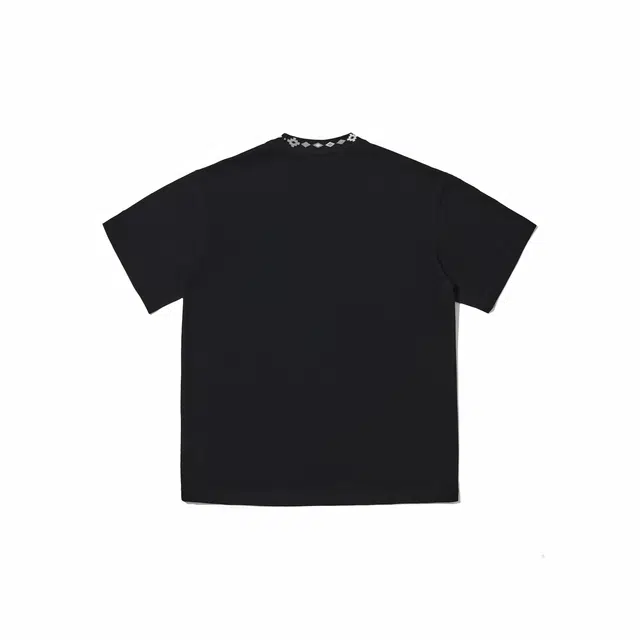 PAINT STAIN T