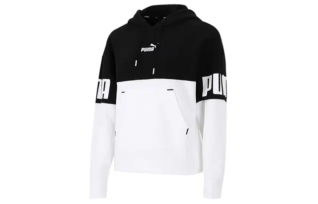 Puma Power Colorblock Hoodie