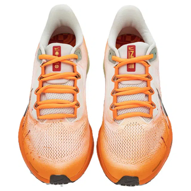 Nike Zoom Pegasus 41