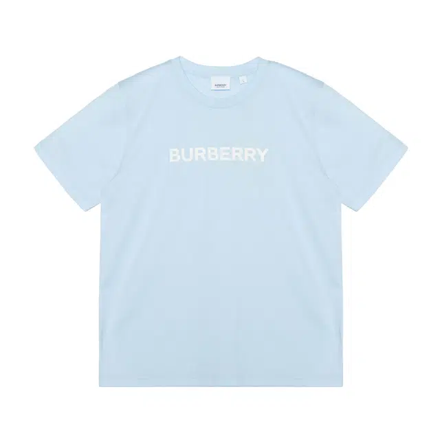 Burberry FW22 LogoT