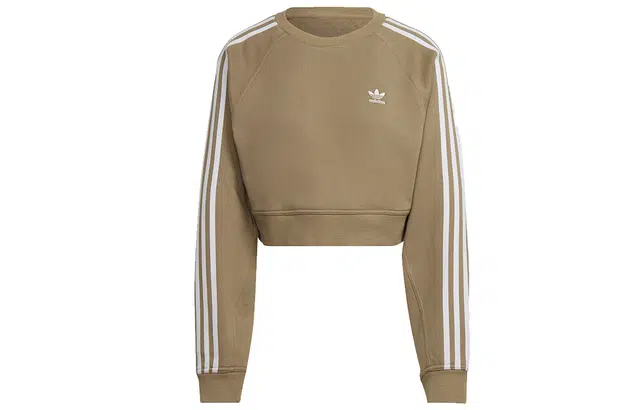 adidas Originals Sweatshirt Colorblock Stripe