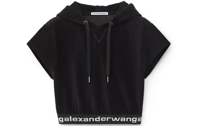 alexander wang Logo