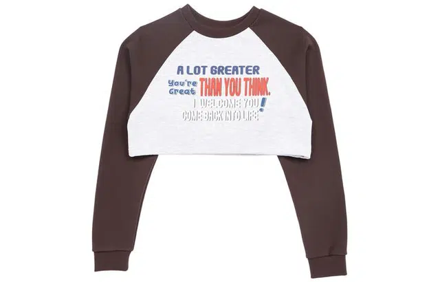 acme de la vieADLV ADLV Colors Scheme Setup Logo