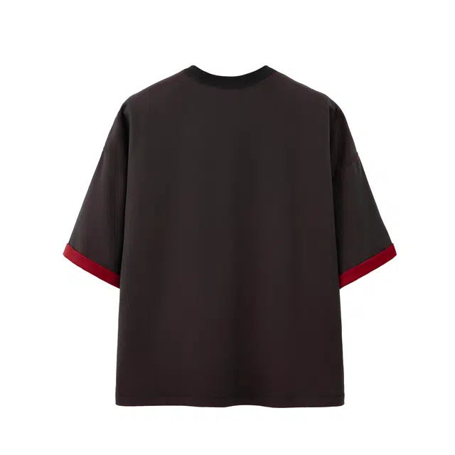 MindBridge T