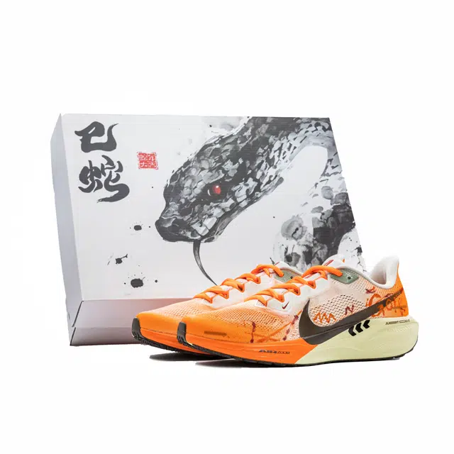 Nike Zoom Pegasus 41