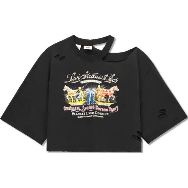 levis T