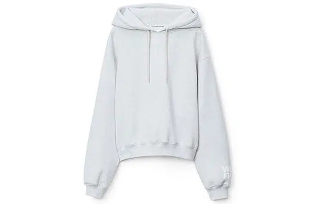 Alexander Wang FW21 Hoodie Grey