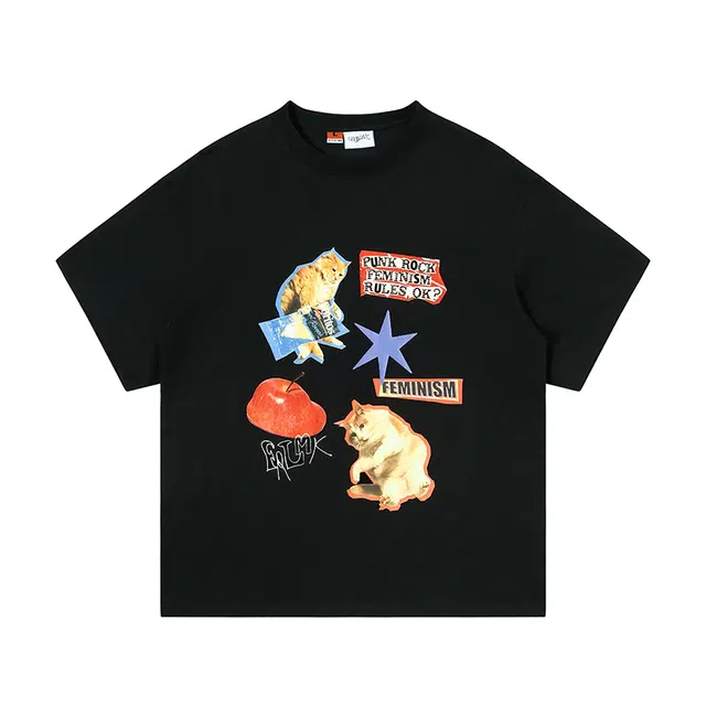 FRLMK T