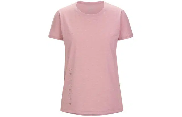 Arcteryx TAEMA ARC'WORD Logo T