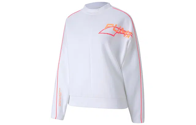 Puma Evide logo