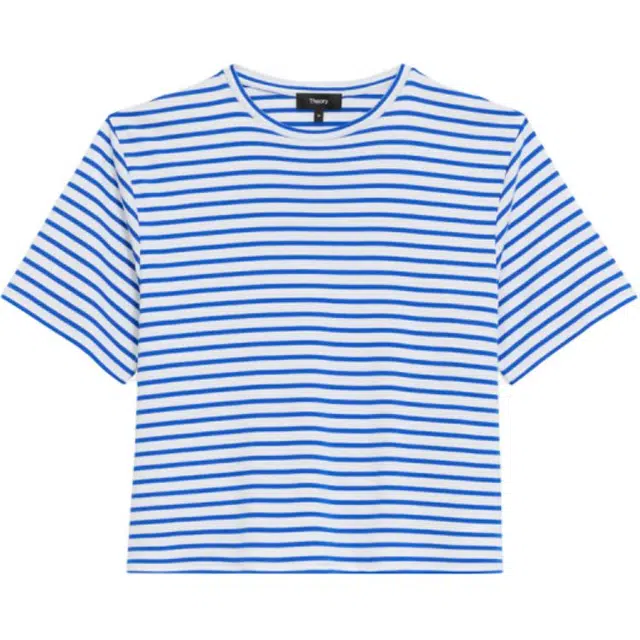 THEORY T