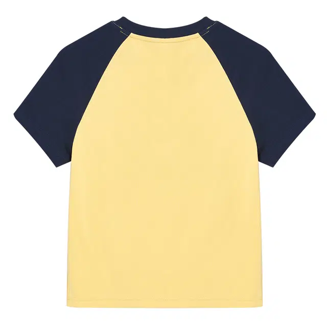 WESTLINK T