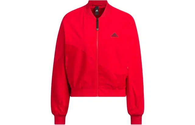 adidas FW23 CNY Logo