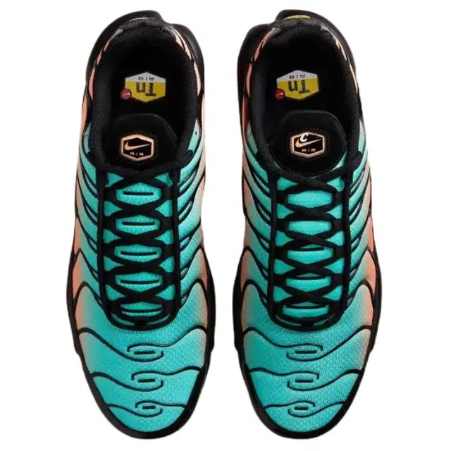 Nike Air Max Plus "South Florida"