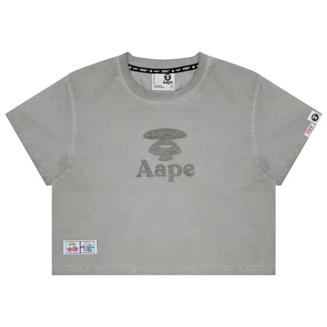 Aape T