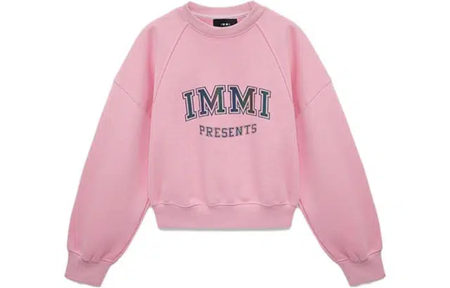 IMMI Logo
