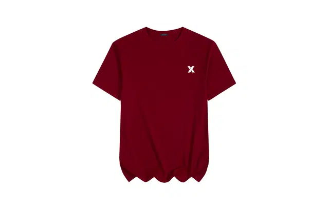 2(X)IST Logo T