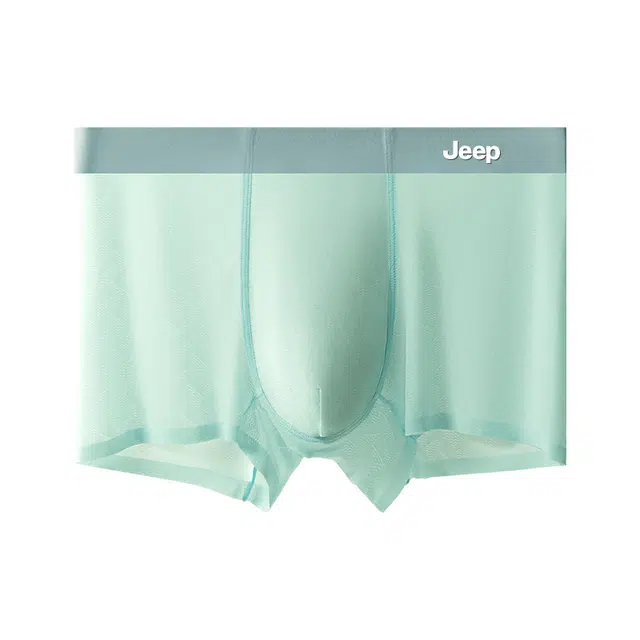 Jeep 1