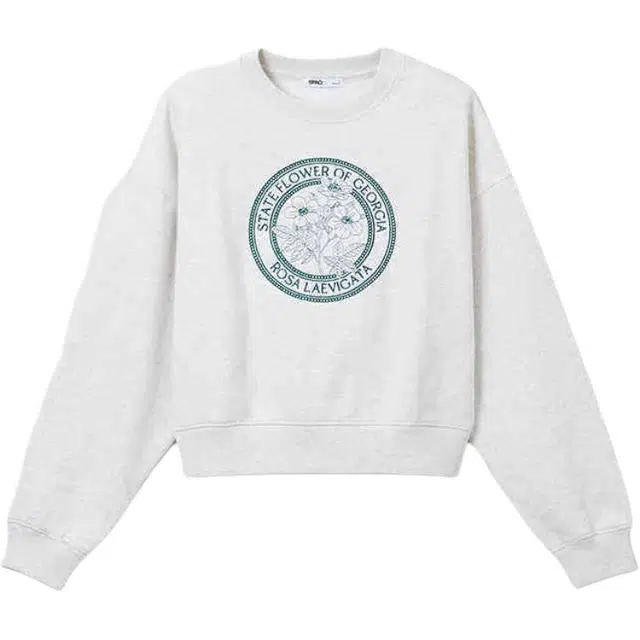 SPAO
