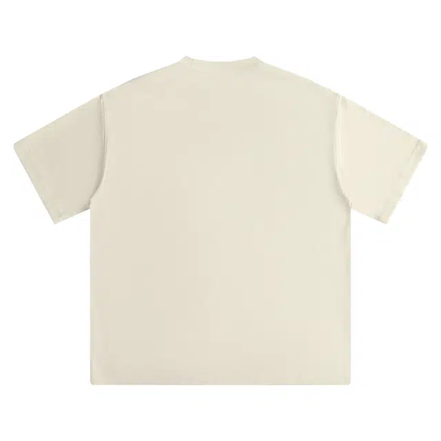 CDISHOU T