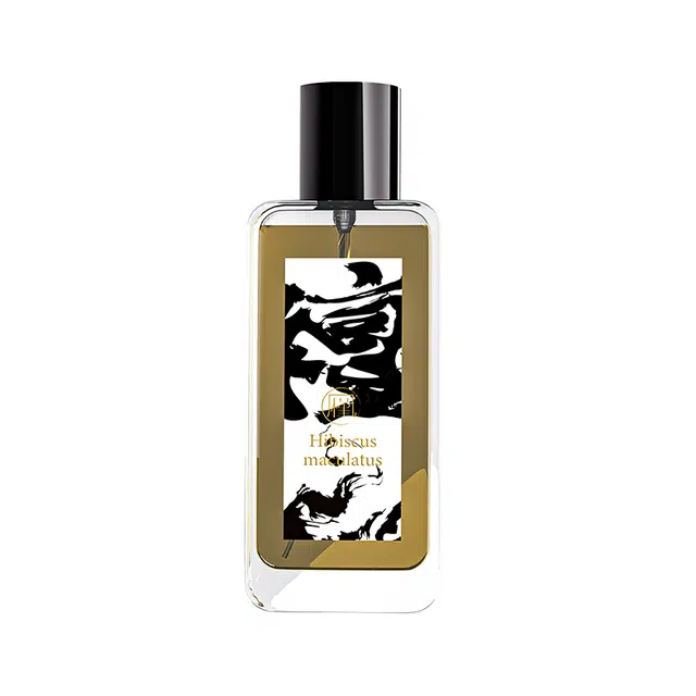 EDP 50ml
