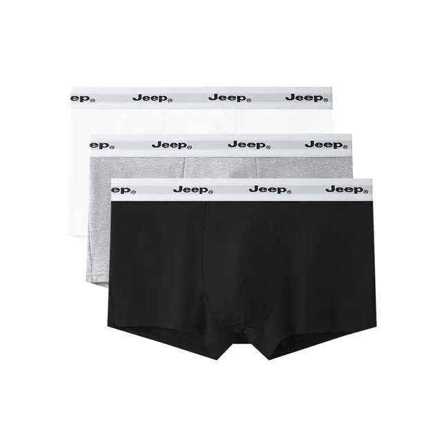 Jeep 3