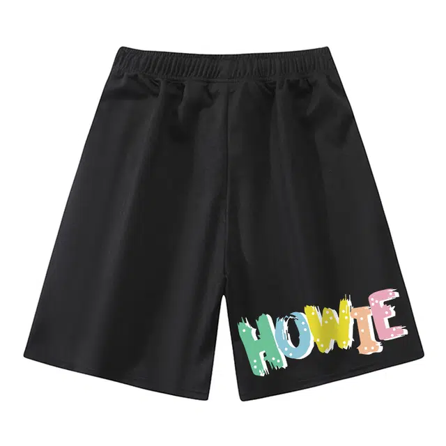 HOWIE LANDAU Logo