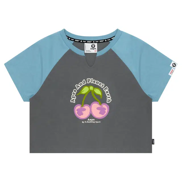 Aape T