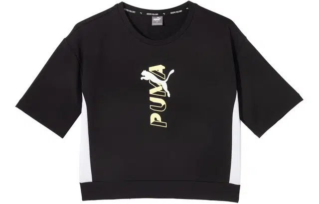 PUMA TMODERNSPORTSSWEATTEE logo T