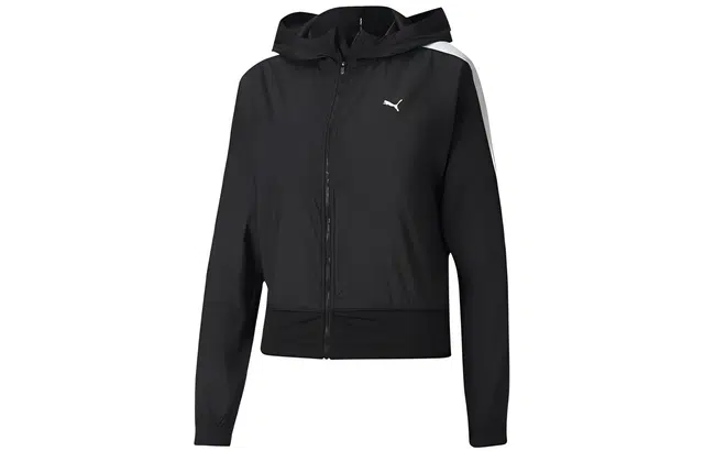 Puma Train Logo