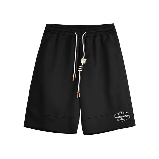 Quiksilver Log