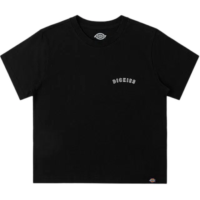 Dickies SS24 T