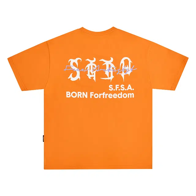 SFSAPABL T