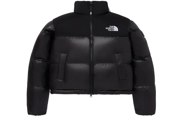 THE NORTH FACE W's Novelty Nuptse Down Jacket