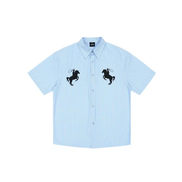 V37 Polo