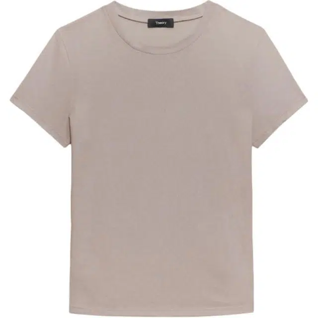 THEORY T