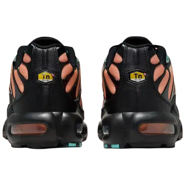 Nike Air Max Plus "South Florida"