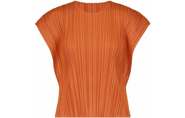 PLEATS PLEASE ISSEY MIYAKE FW22
