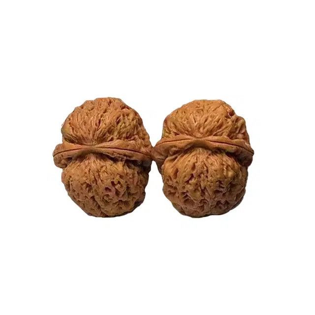 富珠汇 【手工精配 盘出富富】平安好运财源滚滚狮子头盘出智慧小众经典好盘把玩手持事业运爆棚好运 文玩核桃 把件 男女同款情侣款