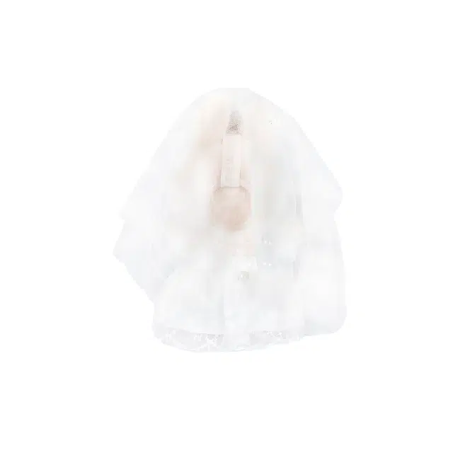 POP MART THEMONSTERS labubu15cm
