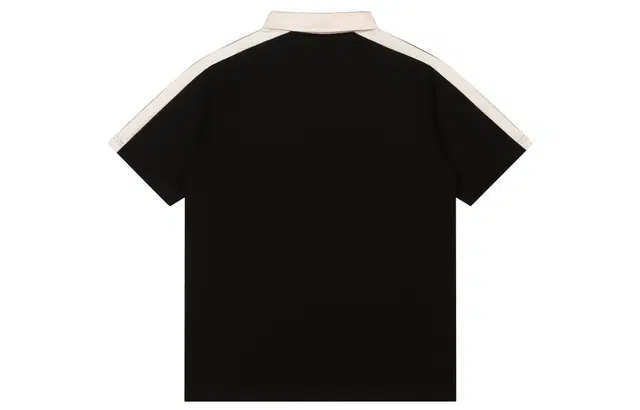 LogoPolo