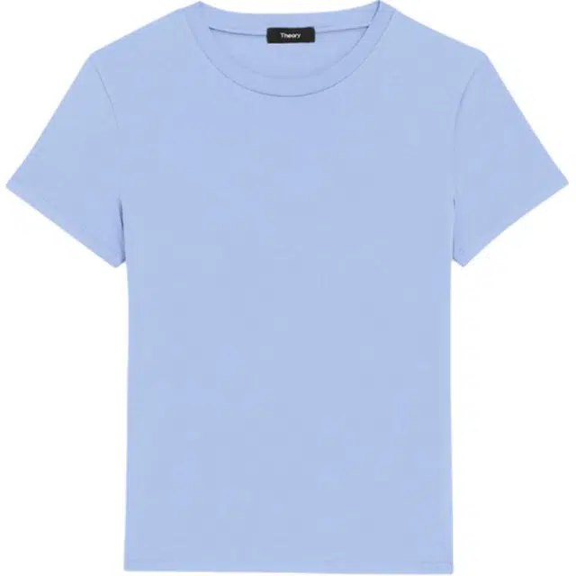 THEORY T
