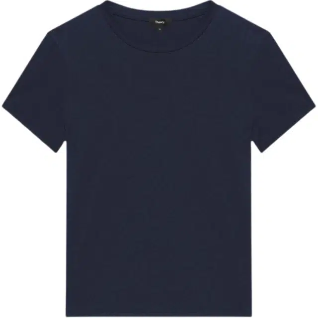 THEORY T