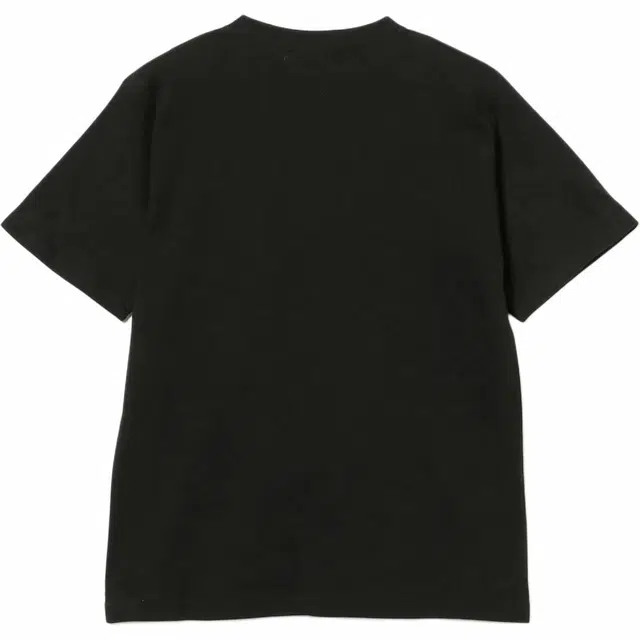 beams T